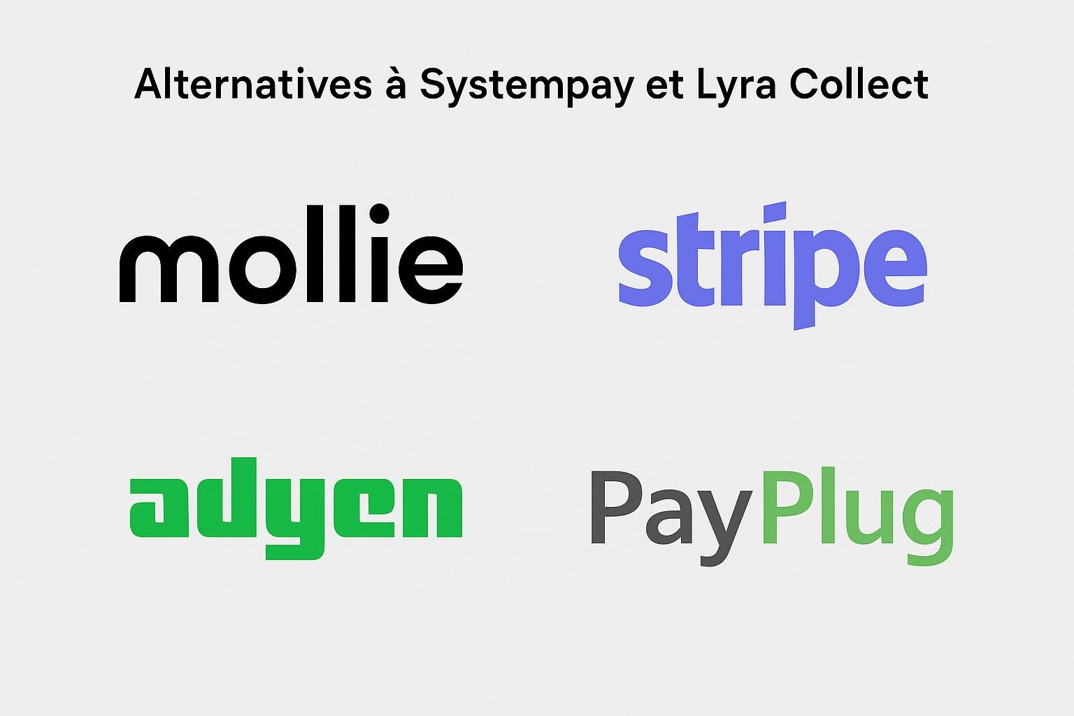 Payment System Alternatives